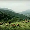 روستای زیبای ازآنده