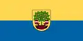 پرچم Valmiera