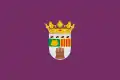 پرچم Almudévar, Spain
