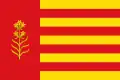 پرچم Azuara