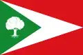 پرچم Tosantos