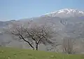کوه درفک از سمت بخش درفک