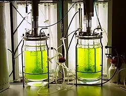 Bioreaktor quer2.jpg