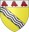 نشان آنزن
