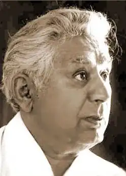 علوی در دهه ۱۹۸۰
