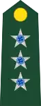 Brazilian Army(Capitão)