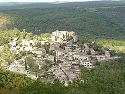 برونیکل
