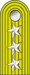 Venezuelan Army