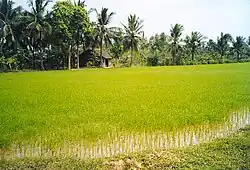 حومه بن تره در اطراف کای مون