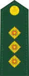 Canadian Army
