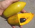 میوه تخم مرغی