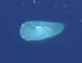 محدوده جزیره کارتیر