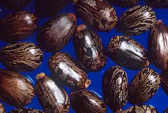روغن کرچک