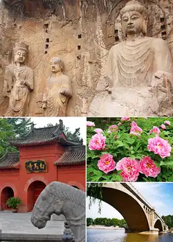 Top: Longmen Grottoes, Bottom left: White Horse Temple, Bottom right: پائونیا سوفروتیکوسا in Luoyang and Longmen Bridge