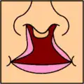 دوسویهٔ کامل