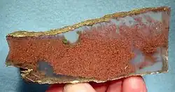 مس بومی دندریتیک محصور در سنگ گچ شفاف از معدنی در شهرستان پیما، آریزونا، ایالات متحده