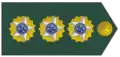 Brazil (Coronel)