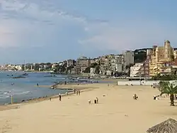 سراسرنمایی از نتونو