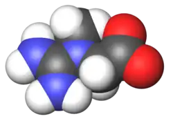 Spacefill model of zwitterionic creatine