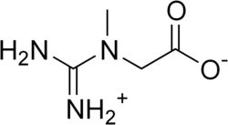 Skeletal formula of zwitterionic creatine