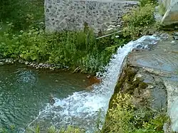 روستای کلکویو در توسیا