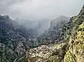 طبیعت جزیره مادیرا