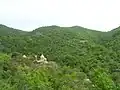 نمای کلی