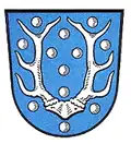 نشان دازل