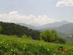 بهار دیلیجان