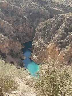 تنگ دم اسب