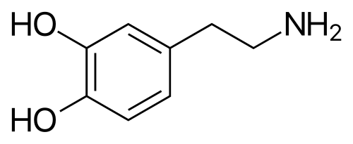 ساختار دوپامین