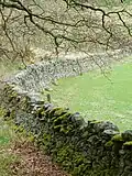 Drystane dyke, Tweeddale, Scotland