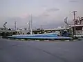 نخل تقی