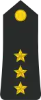 Egyptian Navy