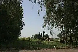Ruins of Al-‘Al