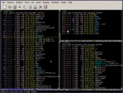 چندین بافر Dired در Emacs، دایرکتوریها بصورت رنگی نمایش داده میشوند