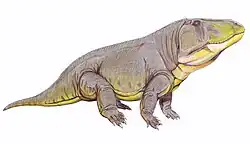 Erythrosuchus africanus