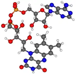 Ball and stick model of a minor tautomer of FAD [(2R,3S,4R,5R)-5-purinyl, -3,4-dihydroxy, -2-yl][(2R,3S,4S)-2,3,4-trihydroxy