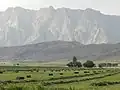 برداشت یونجه با چشم انداز سبزه کوه