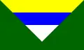 Flag of the Department of Boaco