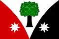 پرچم دروینیتسه