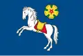 پرچم استراوا