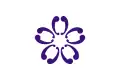 پرچم Sakura