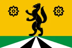 پرچم Selemdzhinsky District