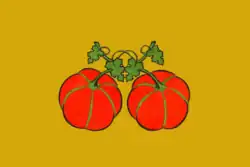 پرچم Sengileyvsky District