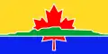 پرچم Thunder Bay