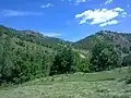 کوهپایه‌های «خاله سامه» روستای گرور