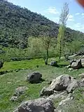 چشمه «کاولان» روستای گرور