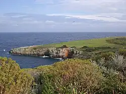 A disused grass runway by Giannutri's shore