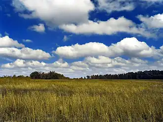 ابرهای کومه‌ای